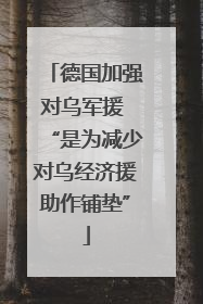 德国加强对乌军援 “是为减少对乌经济援助作铺垫”