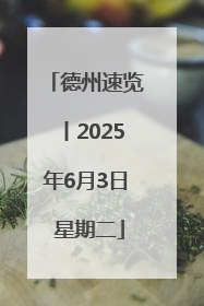 德州速览丨2025年6月3日 星期二