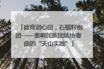 德育润心田，石榴籽抱团——奏响民族团结协奏曲的“天山实践”