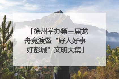 徐州举办第三届龙舟竞渡暨“好人好事好彭城”文明大集