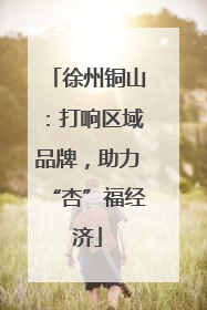 徐州铜山：打响区域品牌，助力“杏”福经济