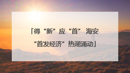 得“新”应“首” 海安“首发经济”热潮涌动