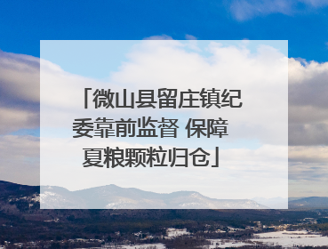 微山县留庄镇纪委靠前监督 保障夏粮颗粒归仓