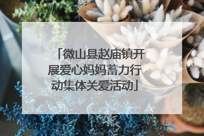 微山县赵庙镇开展爱心妈妈蓄力行动集体关爱活动