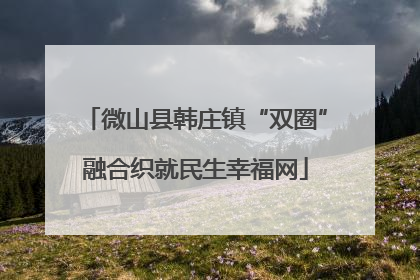 微山县韩庄镇“双圈”融合织就民生幸福网