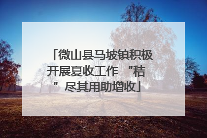 微山县马坡镇积极开展夏收工作 “秸”尽其用助增收