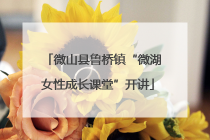 微山县鲁桥镇“微湖女性成长课堂”开讲