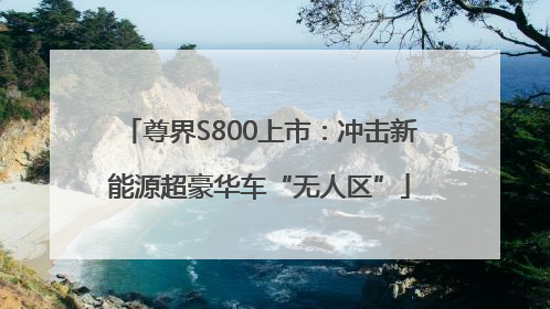 尊界S800上市：冲击新能源超豪华车“无人区”