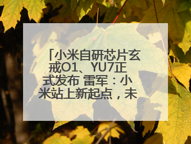 小米自研芯片玄戒O1、YU7正式发布 雷军：小米站上新起点，未来五年研发翻倍再投2000亿元