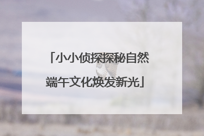 小小侦探探秘自然 端午文化焕发新光