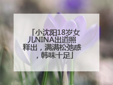 小沈阳18岁女儿NINA出道照释出，满满松弛感，韩味十足