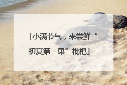 小满节气，来尝鲜“初夏第一果”枇杷