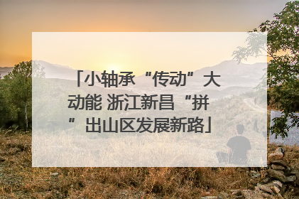 小轴承“传动”大动能 浙江新昌“拼”出山区发展新路