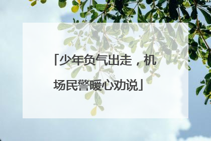 少年负气出走，机场民警暖心劝说
