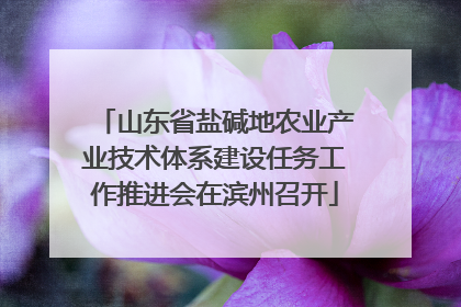 山东省盐碱地农业产业技术体系建设任务工作推进会在滨州召开