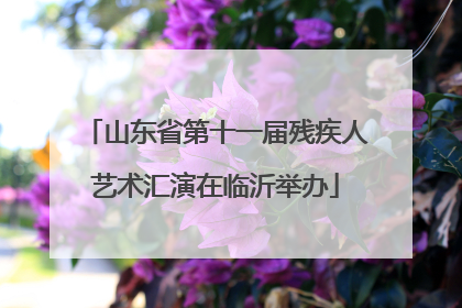 山东省第十一届残疾人艺术汇演在临沂举办