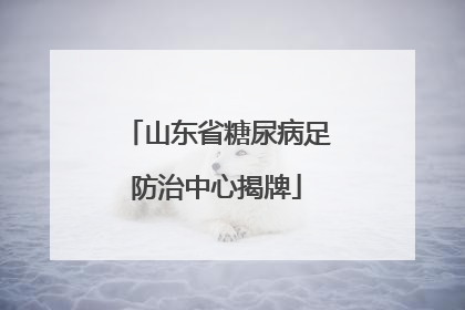 山东省糖尿病足防治中心揭牌