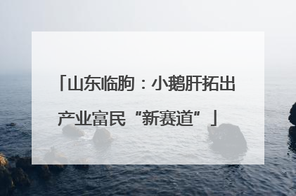 山东临朐：小鹅肝拓出产业富民“新赛道”