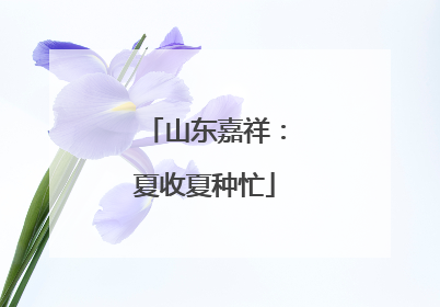 山东嘉祥：夏收夏种忙