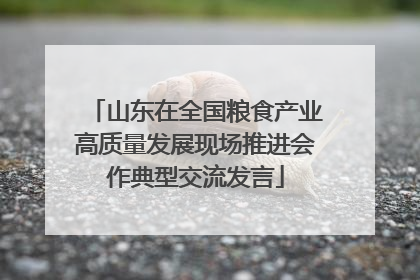 山东在全国粮食产业高质量发展现场推进会作典型交流发言