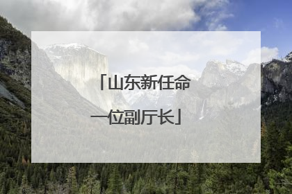 山东新任命一位副厅长