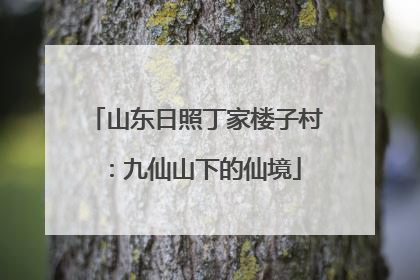 山东日照丁家楼子村：九仙山下的仙境