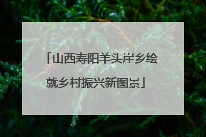 山西寿阳羊头崖乡绘就乡村振兴新图景