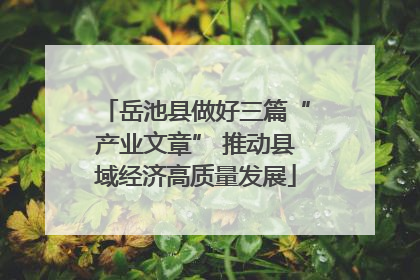 岳池县做好三篇“产业文章” 推动县域经济高质量发展