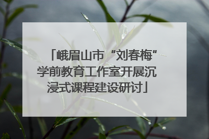 峨眉山市“刘春梅”学前教育工作室开展沉浸式课程建设研讨