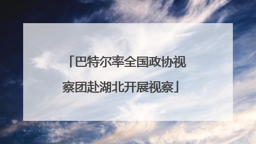 巴特尔率全国政协视察团赴湖北开展视察