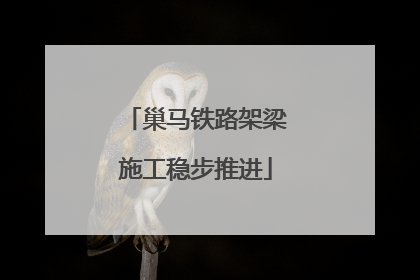 巢马铁路架梁施工稳步推进