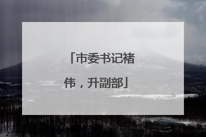 市委书记褚伟，升副部