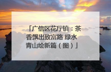 广信区花厅镇：茶香飘出致富路 绿水青山绘新篇（图）