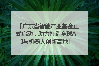 广东省智能产业基金正式启动，助力打造全球AI与机器人创新高地