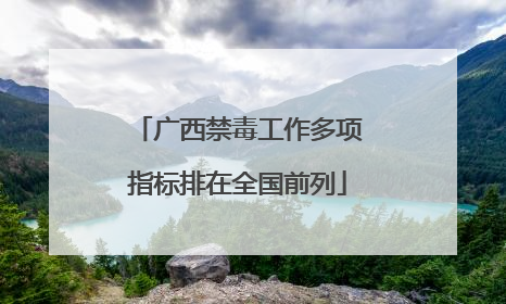 广西禁毒工作多项指标排在全国前列