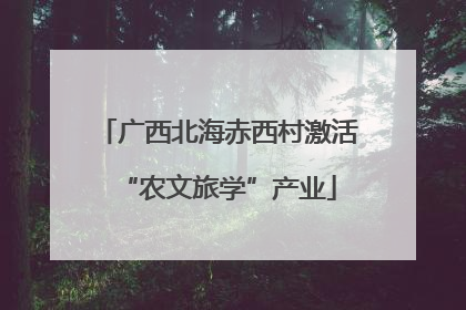 广西北海赤西村激活“农文旅学”产业