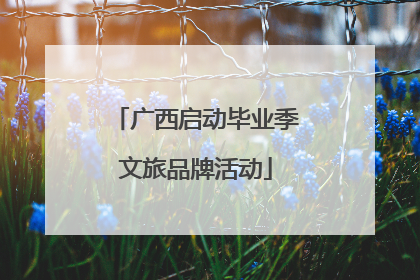 广西启动毕业季文旅品牌活动