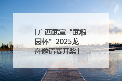 广西武宣“武粮园杯”2025龙舟邀请赛开桨