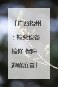 广西梧州：输变设备检修 保障迎峰度夏