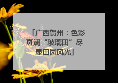 广西贺州：色彩斑斓“玻璃田”尽显田园风光