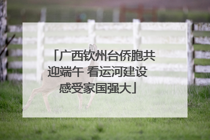 广西钦州台侨胞共迎端午 看运河建设感受家国强大