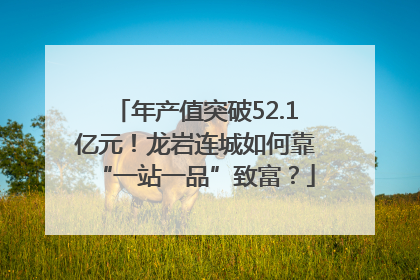 年产值突破52.1亿元！龙岩连城如何靠“一站一品”致富？