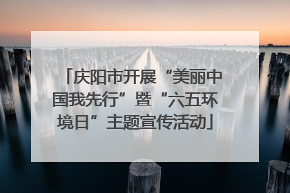 庆阳市开展“美丽中国我先行”暨“六五环境日”主题宣传活动