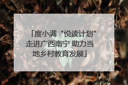 度小满“悦读计划”走进广西南宁 助力当地乡村教育发展