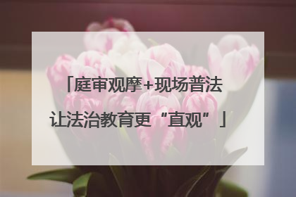 庭审观摩+现场普法 让法治教育更“直观”
