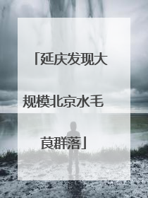 延庆发现大规模北京水毛茛群落