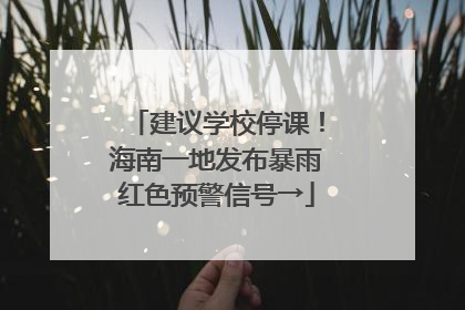 建议学校停课！海南一地发布暴雨红色预警信号→