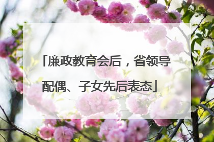 廉政教育会后，省领导配偶、子女先后表态