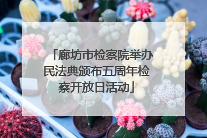 廊坊市检察院举办民法典颁布五周年检察开放日活动