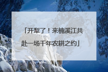 开犁了！来楠溪江共赴一场千年农耕之约